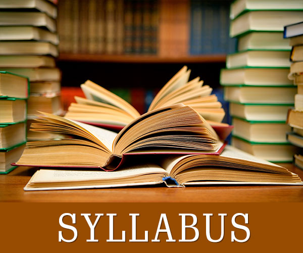 Academic Syllabus
